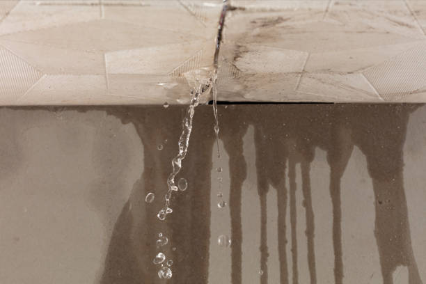 Professional Flood Damage Cleanup technician working in Santa Ysabel, CA
